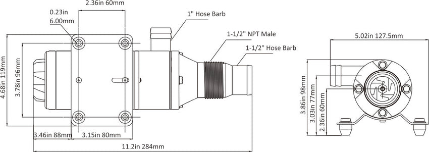 Technical line drawing of the Seaflo 01-Series Marine Macerator Pump with multiple views and dimensions (inches/mm), showing hose barb fittings, bolt holes, and key measurements for marine holding tank installation.