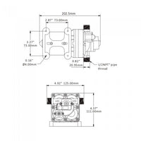 Technical line drawing of the Seaflo 12V RV Supreme Pump with labeled dimensions, overall lengths of 202.5mm and 125mm, various hole diameters and spacings, plus a 1/2 NPT pipe thread connection shown in two views.